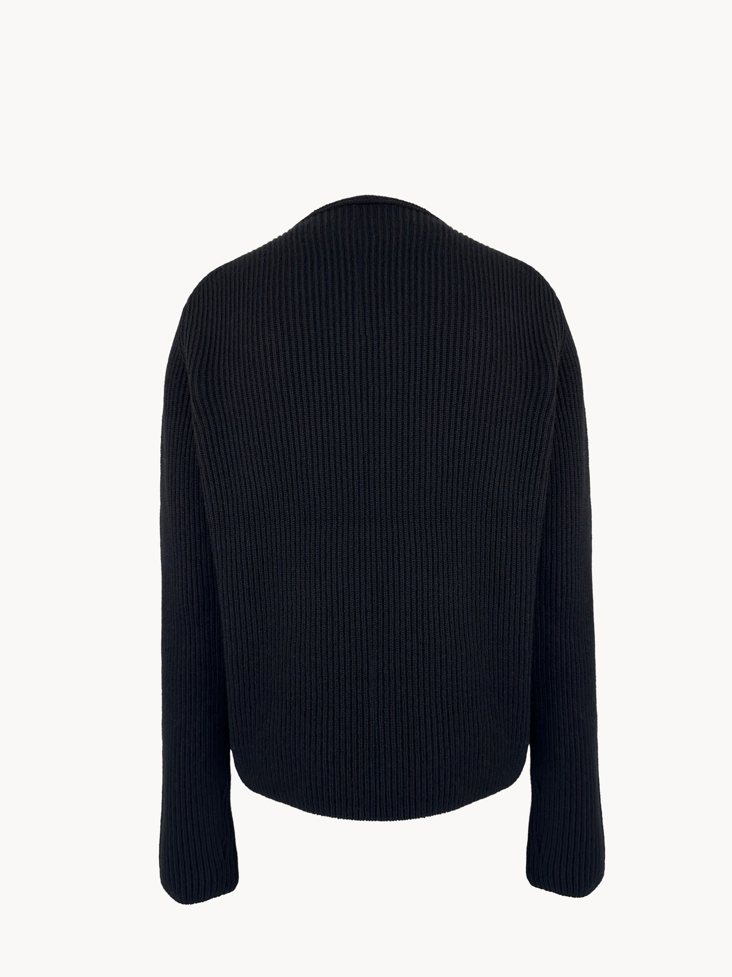 Capricorn sweater in cashmere